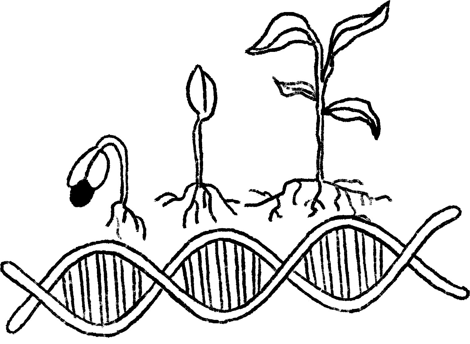 Biotechnology (High school) — Nourish the Future