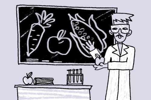 Curriculum — Nourish the Future